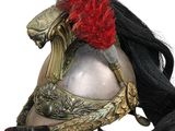 a helmet with a red feather on top of it