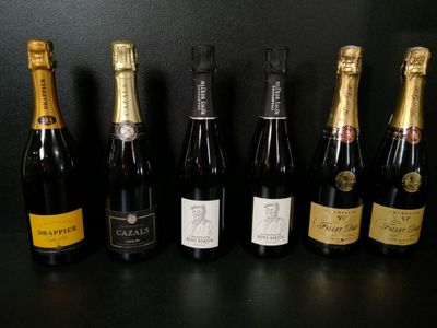 Lot de 6 bouteilles de champagne : 2 Remy Bertin Tradition, … - Photo 1