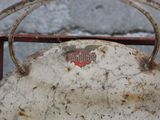 Photo 2/2 du lot