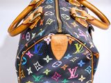 louis vuittoupe multicolore speedy bag on a white background