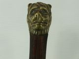 an image of a close up of a cane with a lion head on it
