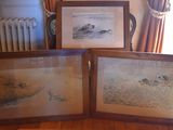 three framed pictures of birds in a room with a radiator and a radiator