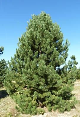 Destockage & Invendus