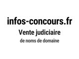 Photo 1/1 du lot