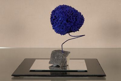 une fleur bleue posée sur une tablette