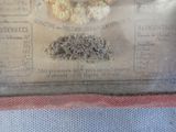 an old newspaper with a bunch of dried flowers on it