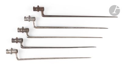 four different types of screws are shown on a white surface