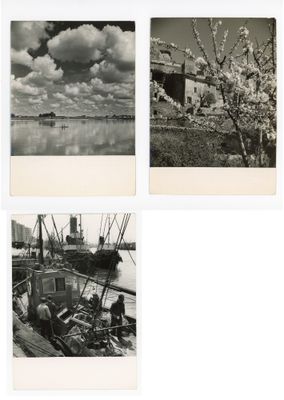 quatre photographies en noir et blanc représentant un bateau, un arbre et des nuages