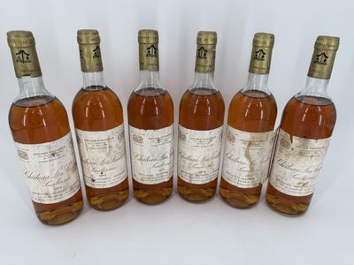 6 bouteilles Château Les Justices, appellation Sauternes, mi…