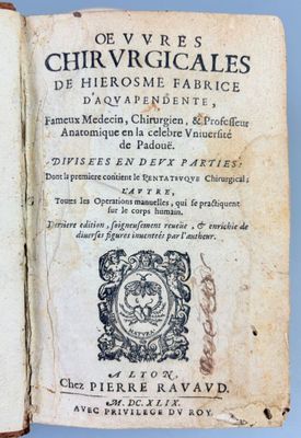 un livre ouvert avec l'image d'un lion dessus