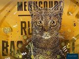 une photo d'une photo représentant un chat sur une horloge