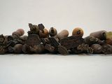 un tas de noix et de glands posé sur une table