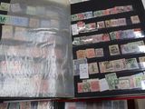 a person holding a book with stamps on it