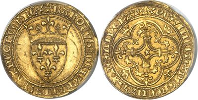 a gold coin with a shield on the front and a shield on the back