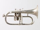 a silver trumpet that is sitting on a table