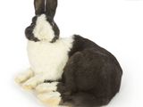 un lapin noir et blanc assis sur une surface blanche