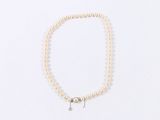 a white pearl necklace with a silver clasp on a white background