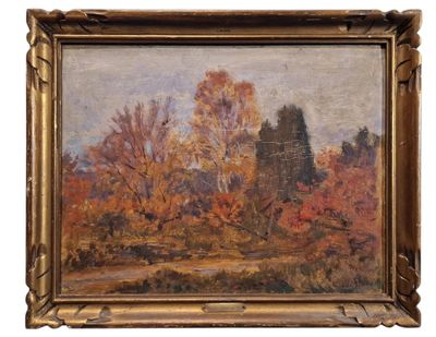 André STRAUSS (1885-1971) Forêt en automne HUILE SUR PANNEAU