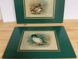 two framed pictures of birds sitting on a wooden table