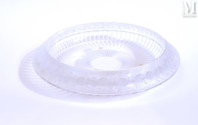 un saladier en plastique transparent avec un couvercle, posé sur une surface blanche