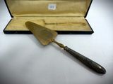 a close up of a knife in a case on a table