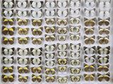 de nombreux types de papillons différents présentés dans une vitrine