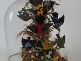 une cloche en verre dans laquelle se trouvent plusieurs oiseaux