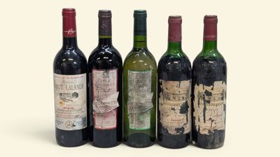 six bouteilles de vin sont alignées sur une surface blanche