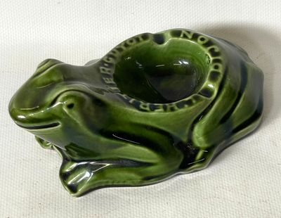une grenouille verte assise sur une surface blanche