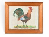 peinture représentant un coq dans un cadre en bois sur fond blanc