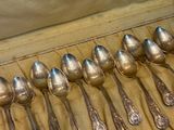 several silver spoons are lined up in a case on a table