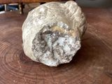 a rock sitting on top of a wooden table