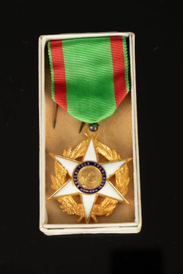une médaille dans une boîte, entourée d'un ruban