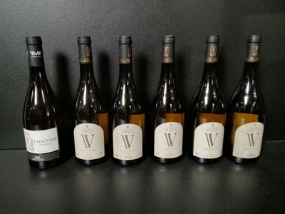 Lot de 12 bouteilles de vin blanc : 5 Viognier Méditerranée … - Photo 1