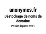 Photo 1/1 du lot