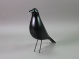 black bird on a white surface with a gray background