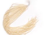 un gros plan sur un collier de perles sur fond blanc