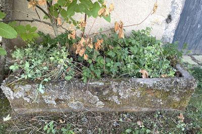 une jardinière en pierre remplie de plantes, posée sur l'herbe