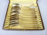 six spoons in a case on a table