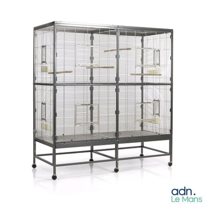 une image représentant une cage à oiseaux contenant deux oiseaux