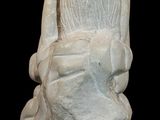 statue of a woman ' s head on a black background