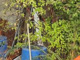 Photo 3/3 du lot
