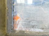 une borne d'incendie orange posée dans le coin d'une fenêtre