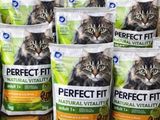 de nombreux sacs de nourriture pour chat posés sur une étagère