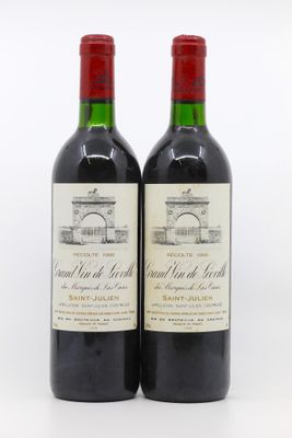 deux bouteilles de vin rouge posées l'une à côté de l'autre sur une surface blanche