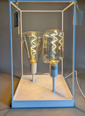 two light bulbs that are sitting inside of a glass box