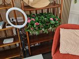 une chaise placée à côté d'une table sur laquelle se trouve une lampe