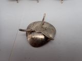 a silver object on a white surface next to a bunch of hooks