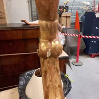 Une petite console en bois doré à décor de feuillages , blas… (photo 3)