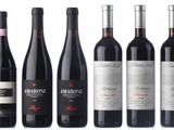 six bottles of red wine are lined up in a row